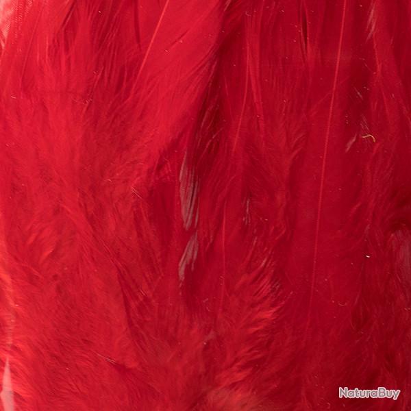 Plumes de saddle Rouge