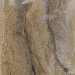 Patte de lapin des neiges Gris