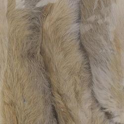 Patte de lapin des neiges Gris