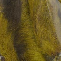 Patte de lapin des neiges Olive