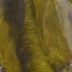 Patte de lapin des neiges Olive