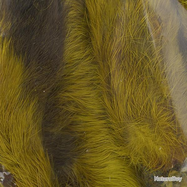 Patte de lapin des neiges Olive