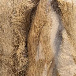 Patte de lapin des neiges Tan