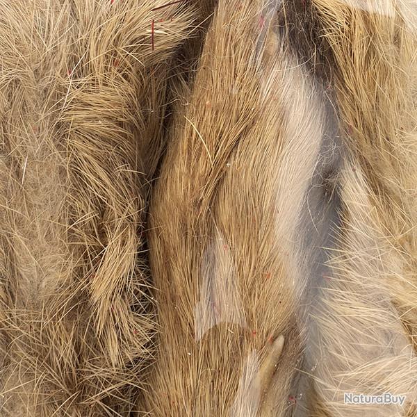 Patte de lapin des neiges Tan