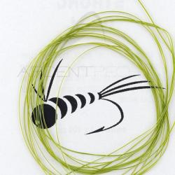 Strong Quill SYBAI Olive pearl