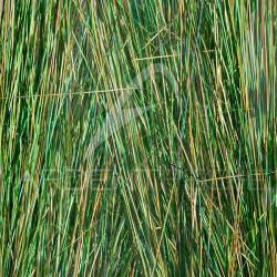 Saltwater blend angel hair SYBAI Chartreuse