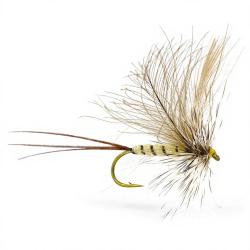 Mouche Igor et Nadica Stancev CDC hackle mayfly H10