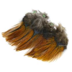 Plumes Pardo Florian Stephan grade 2 Rubion