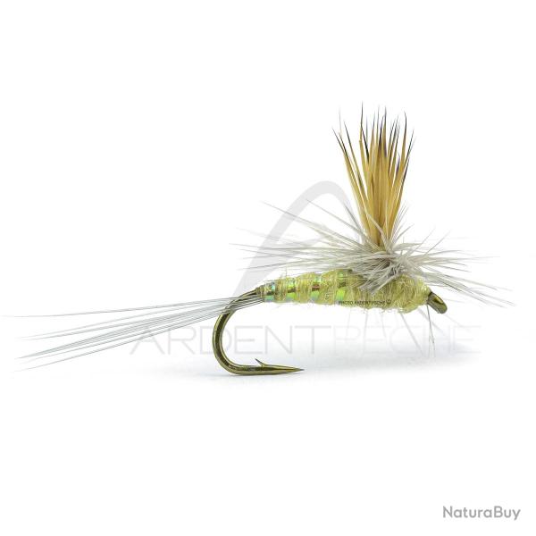 Mouche RIO parachute Wulff PMD H16