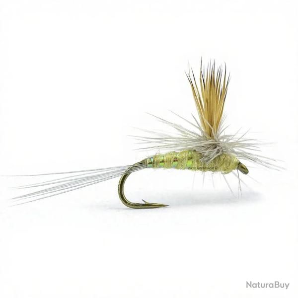 Mouche RIO parachute Wulff PMD H20