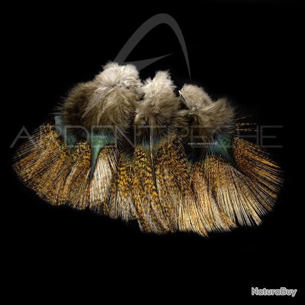 Plumes Pardo SELECT grade 1 encendido