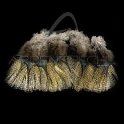 Plumes Pardo SELECT grade 1 corzuno m&eacute;dio