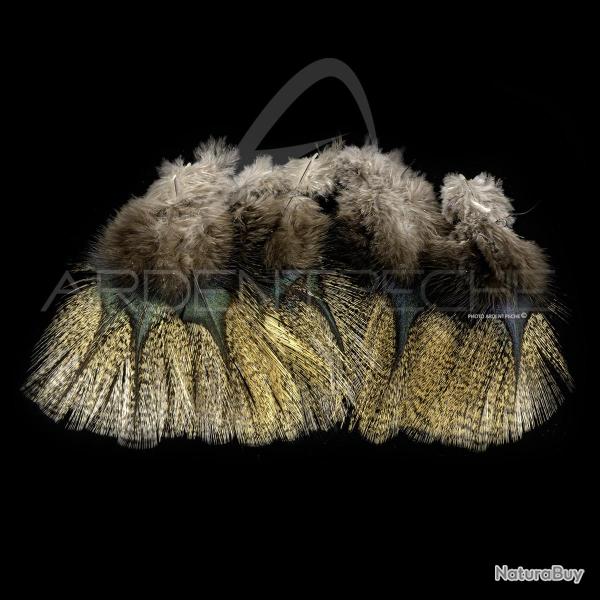 Plumes Pardo SELECT grade 1 corzuno m�dio