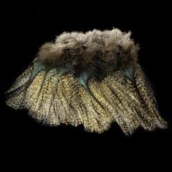 Plumes Pardo SELECT grade 1 aconchado