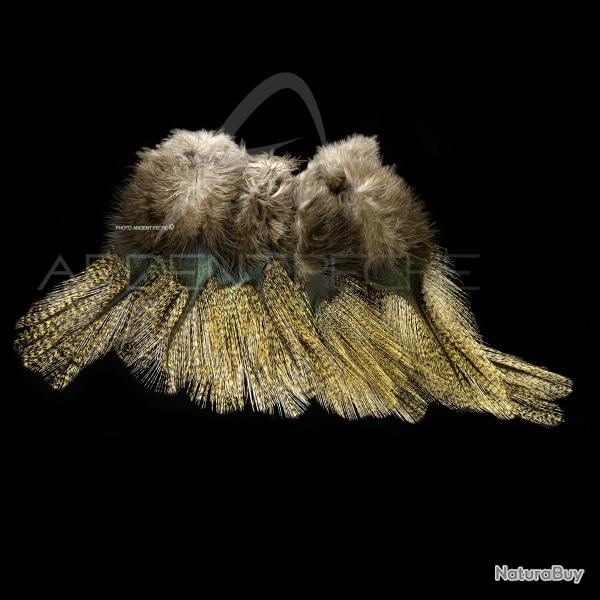 Plumes Pardo SELECT grade 2 corzuno m�dio