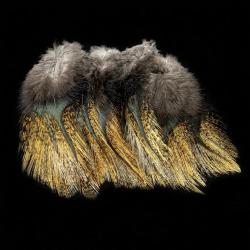 Plumes Pardo SELECT grade 3 flor de escoba