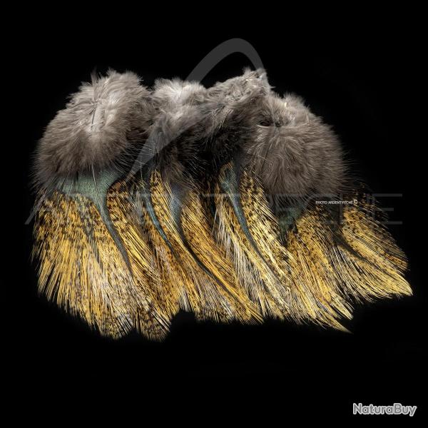 Plumes Pardo SELECT grade 3 flor de escoba