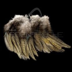 Plumes Pardo SELECT grade 3 corzuno m&eacute;dio