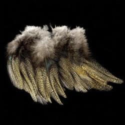 Plumes Pardo SELECT grade 3 corzuno m&eacute;dio