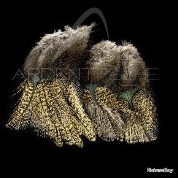 Plumes Pardo SELECT grade 3 aconchado