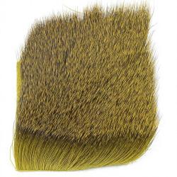 Chevreuil sur peau jaune olive