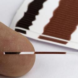 P&eacute;cari quill opaque 0.4 mm