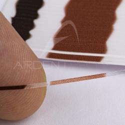 Pécari quill transparent 0,4 mm