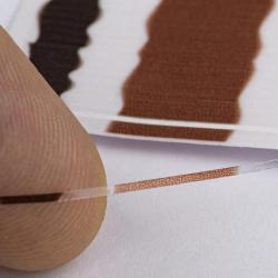 P&eacute;cari quill transparent 1 mm