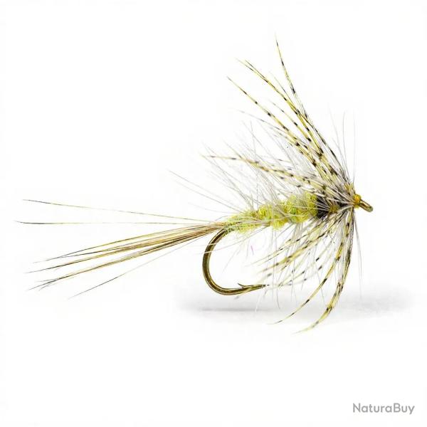 Mouche Igor et Nadica Stancev mouche de mai Assassin H12