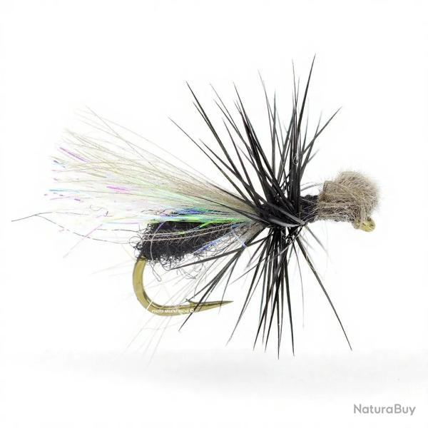Mouche Igor et Nadica Stancev fourmi CDC loop H18