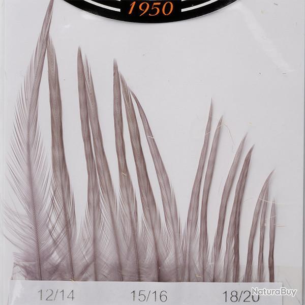 Hackles G�n�tic DEVAUX Gris A