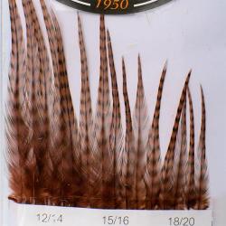 Hackles G&eacute;n&eacute;tic DEVAUX Grizzly Coachman