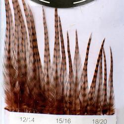 Hackles G&eacute;n&eacute;tic DEVAUX Grizzly Coachman