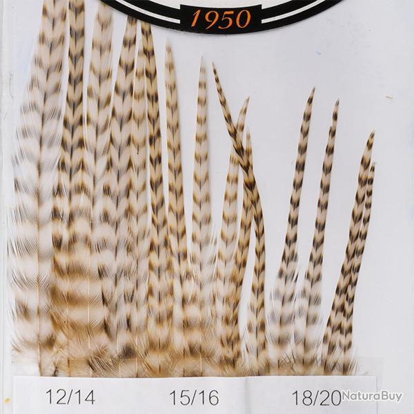 Hackles G�n�tic DEVAUX Grizzly Ginger