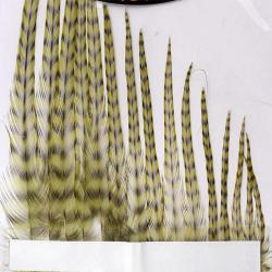 Hackles G&eacute;n&eacute;tic DEVAUX Grizzly olive