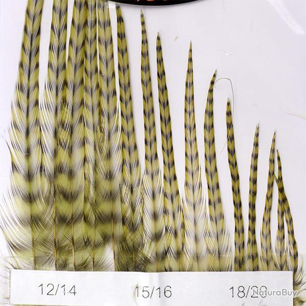 Hackles G�n�tic DEVAUX Grizzly olive