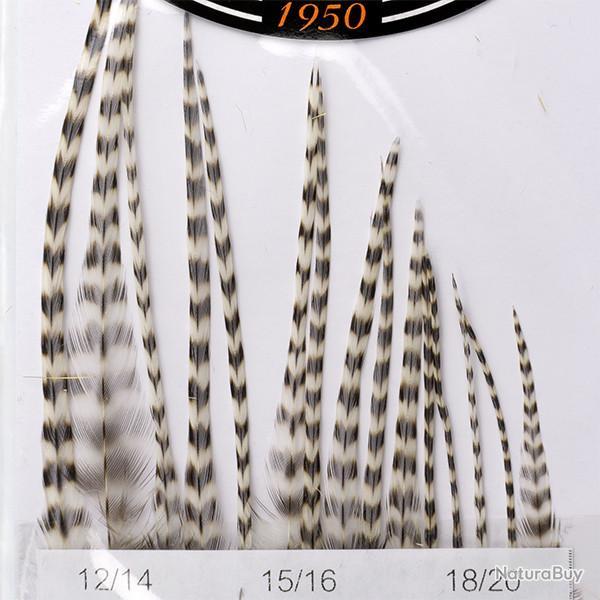 Hackles G�n�tic DEVAUX Grizzly