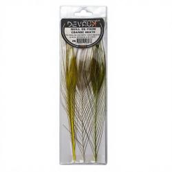 Quills de paon &eacute;barb&eacute;s DEVAUX assortiment