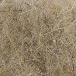 Dubbing de Li&egrave;vre DEVAUX Naturel Clair Court