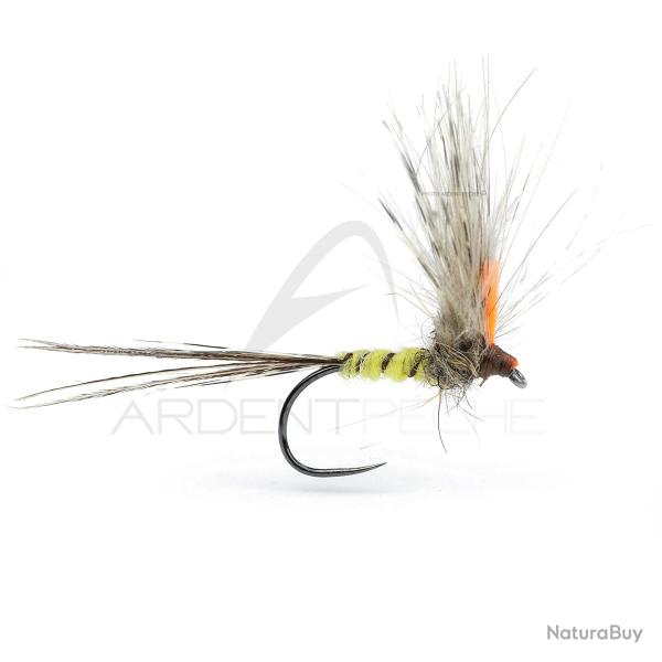 Mouche A.P. Mai 32 H 12