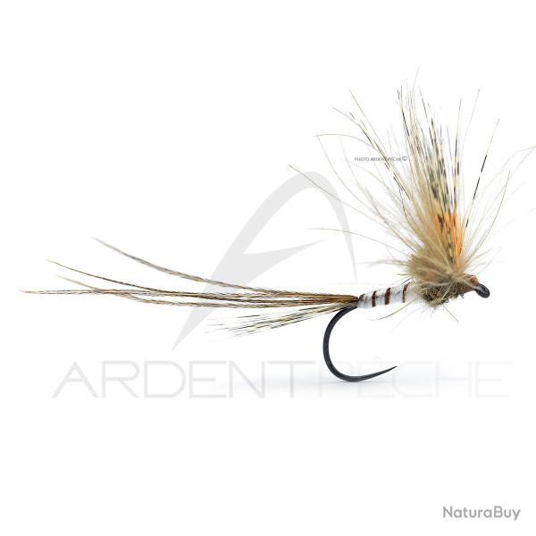 Mouche A.P. Mai 33 H 10