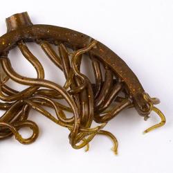 Mini Squiggle Worms Marron olive
