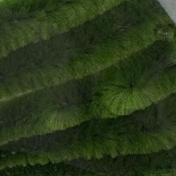 Micro Dragon Tails 10 cm Olive