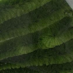 Micro Dragon Tails 10 cm Olive