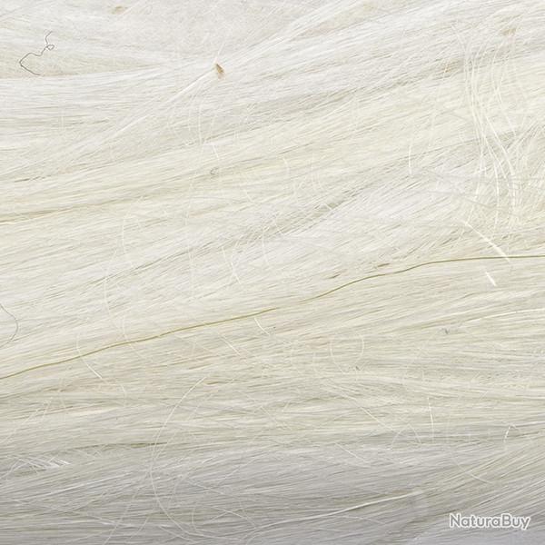 Ch�vre polaire Blanc