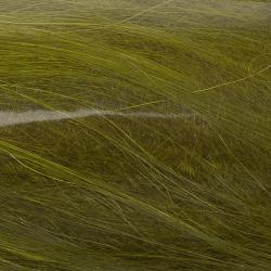 Ch&egrave;vre polaire Olive