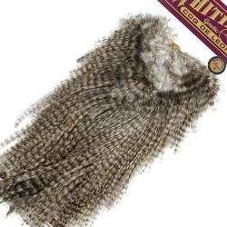 Croupes pardo Whiting Bronze Grizzly pardo