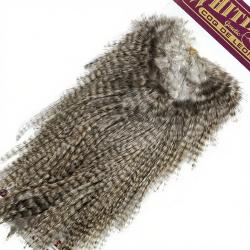 Croupes pardo Whiting Bronze Grizzly pardo