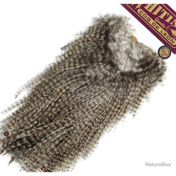Croupes pardo Whiting Bronze Grizzly pardo