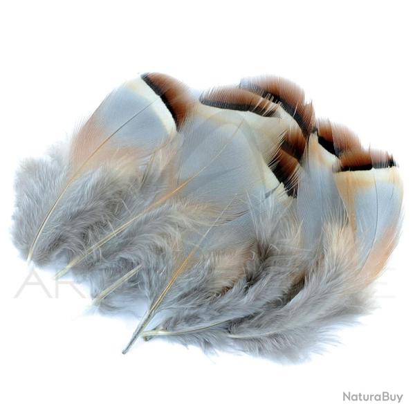 Perdrix rouge naturelle